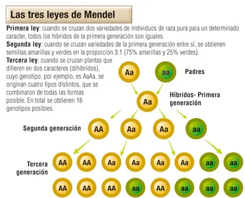 educacion