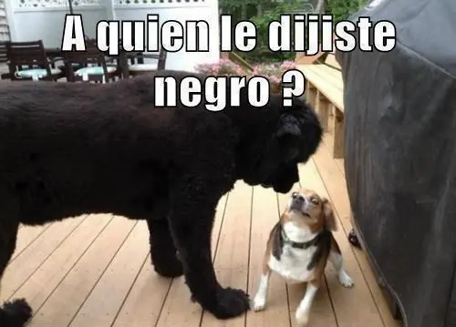 imágenes de humor!