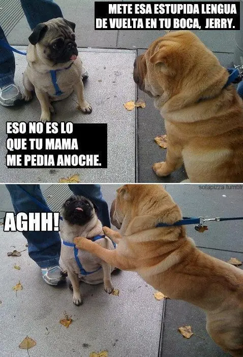 imágenes de humor!