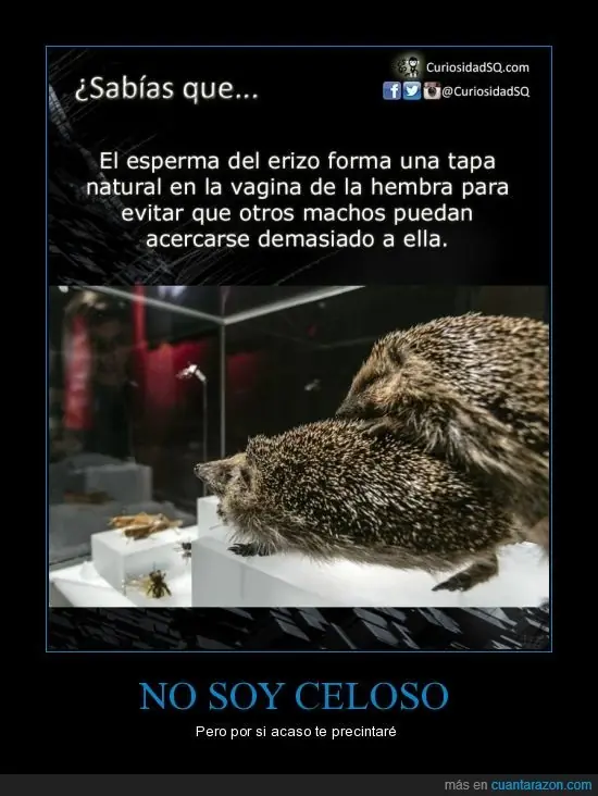 humor