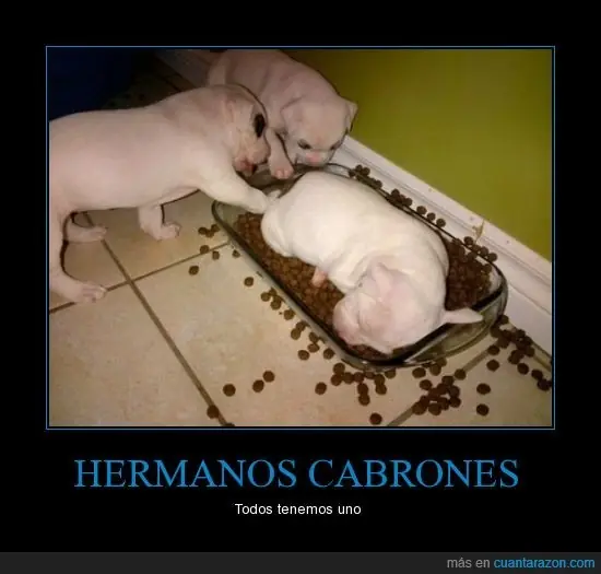Grafico