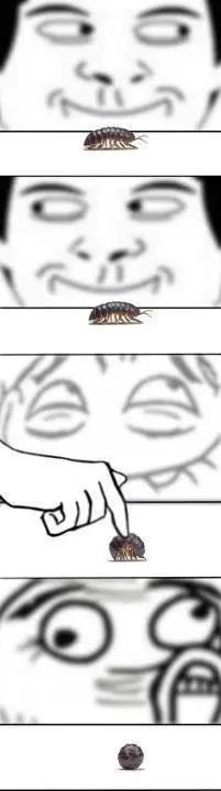 reir