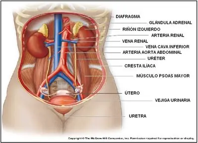 cientificos famosos