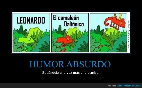 Grafico