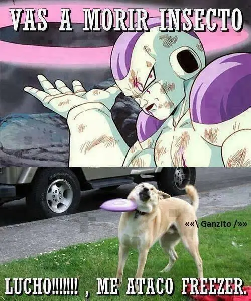 humor