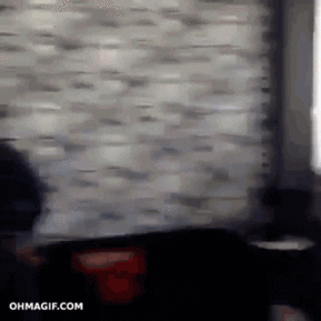Gifs
