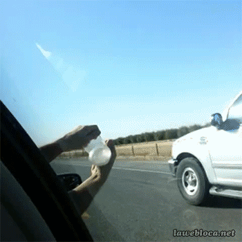 Gifs