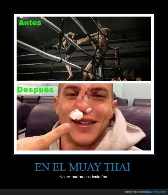 Grafico