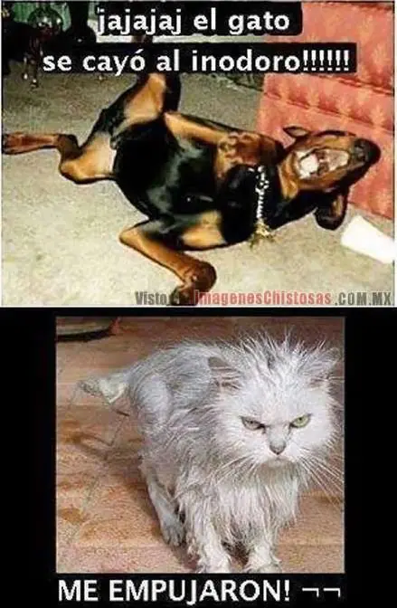 Humor de martes por la tarde... Te hago reir 5 minutos...