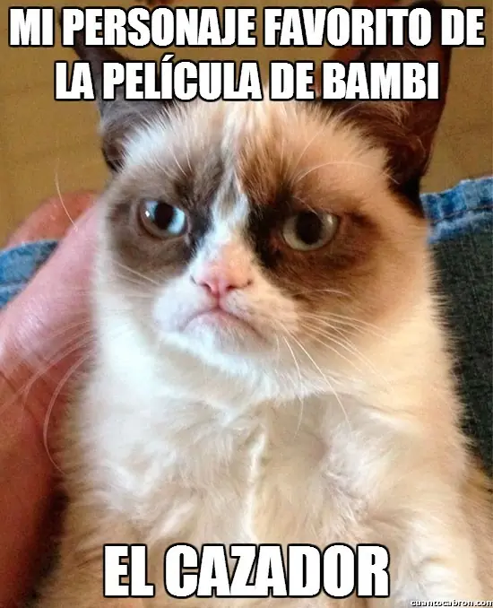 gracioso
