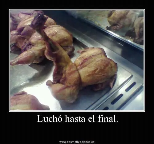 gracioso