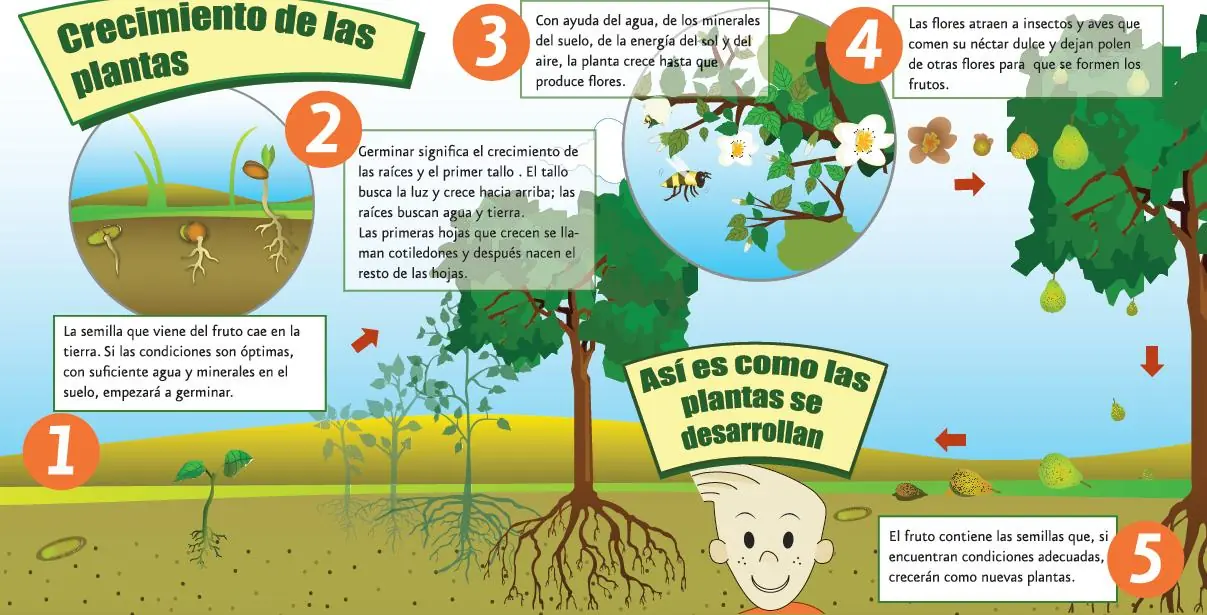 ciencia moderna