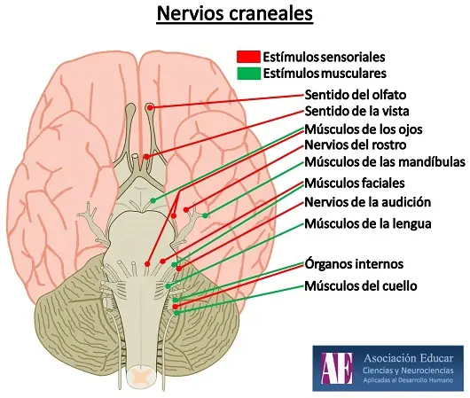 ciencia moderna