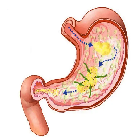 Grandes Científicos y Su Aporte a la Ciencia [Megapost]