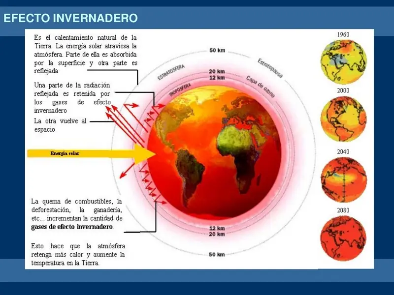 ecología