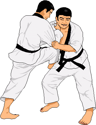 judo