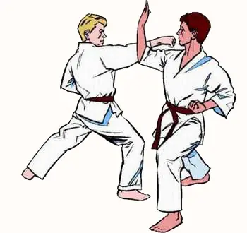 artes marciales