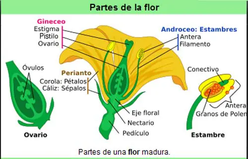cientificos
