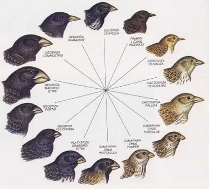 ciencia moderna