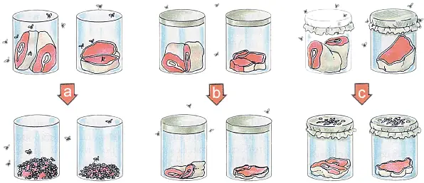 ciencia
