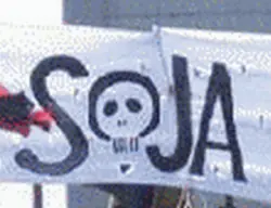 15 años de soja: la prueba del delito