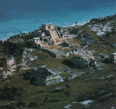 taringuera