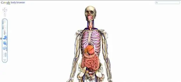 Google prepara un "Google Earth" del cuerpo humano