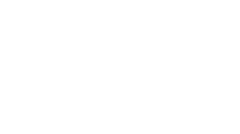seguidor