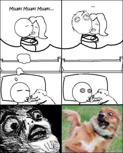 dolor
