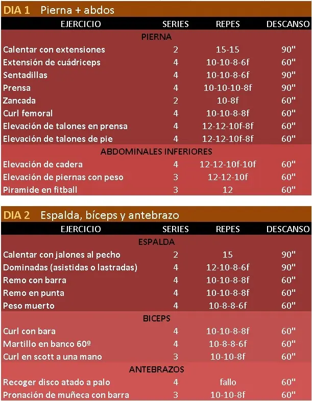 Volumen especial de :pierna, Espalda, Bicep, Tricep, Antebra