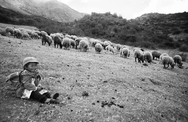 A través de mis ojos; Niños Quechuas, fotografiaron su mun