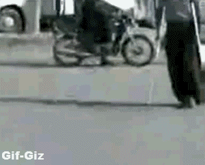 Gifs
