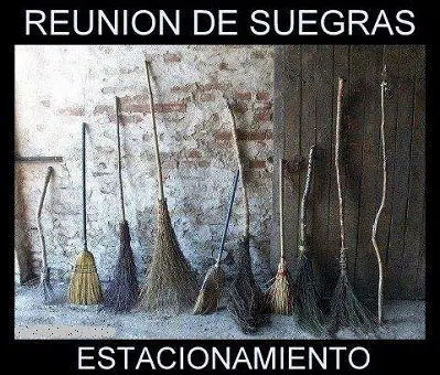 dolor