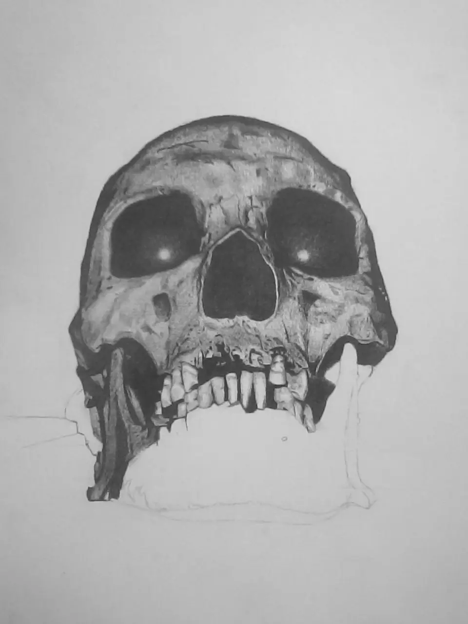 Calavera [dibujo] + yapa