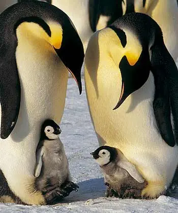 lindos