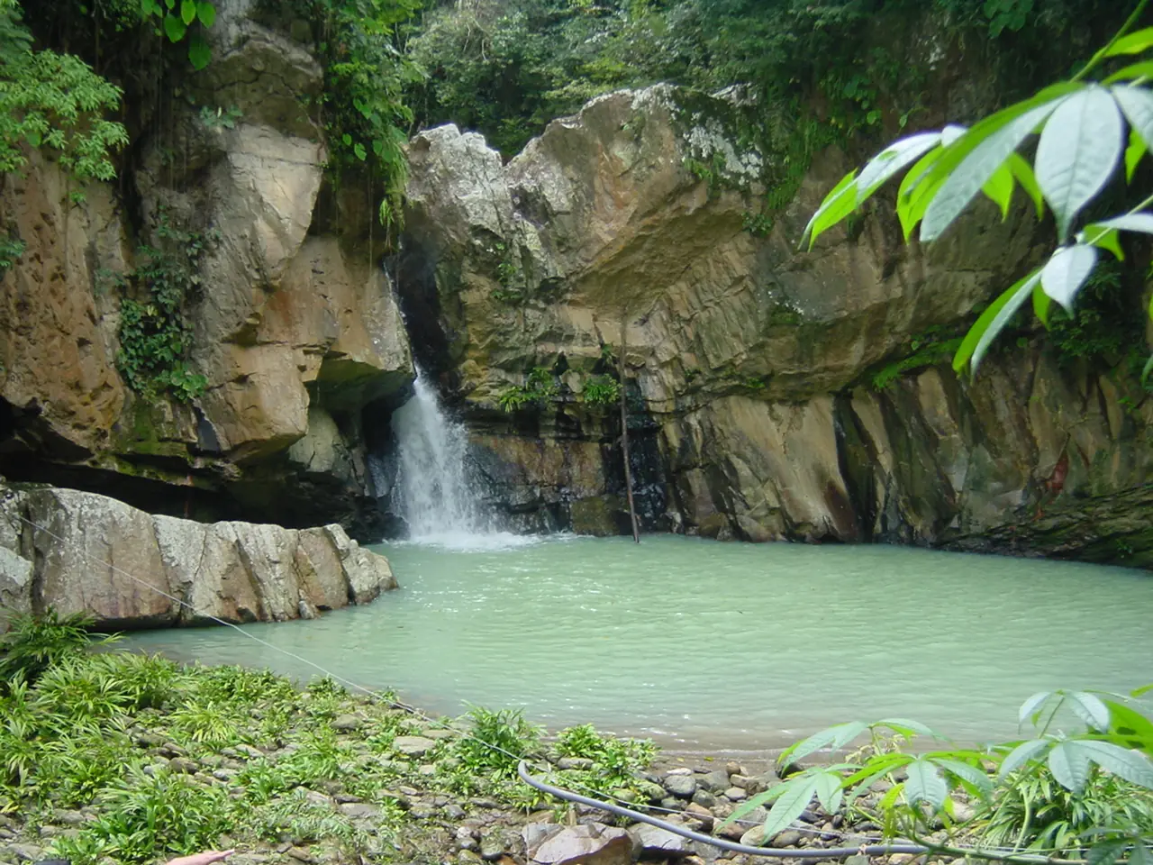 naturaleza