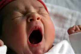 ¿Por qué bostezamos?