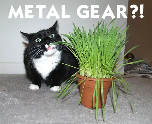 Metal Gear