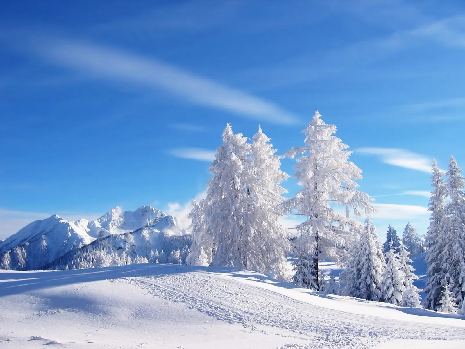 The Snow Wallpaper
