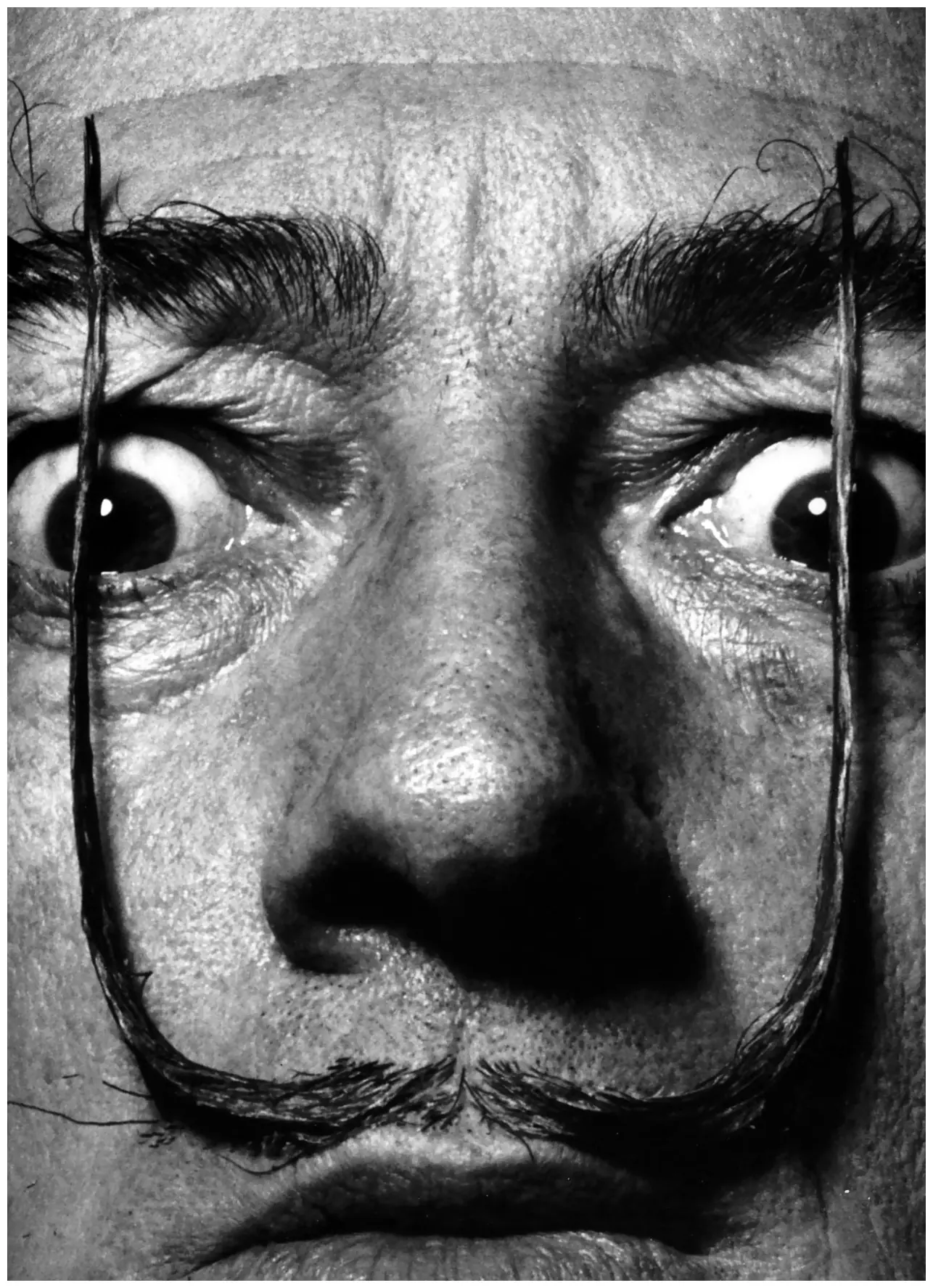 Las frases mas famosas de Salvador Dalí