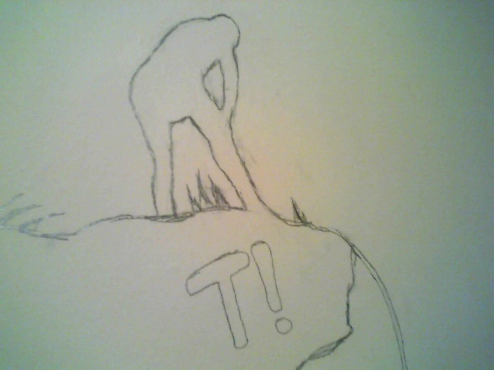 lo que pinté en la pared de mi cuarto...