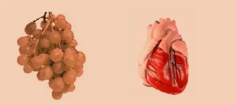 La naturaleza nos habla, sólo hay que saber escuchar.