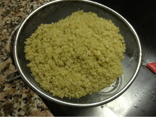 repollo