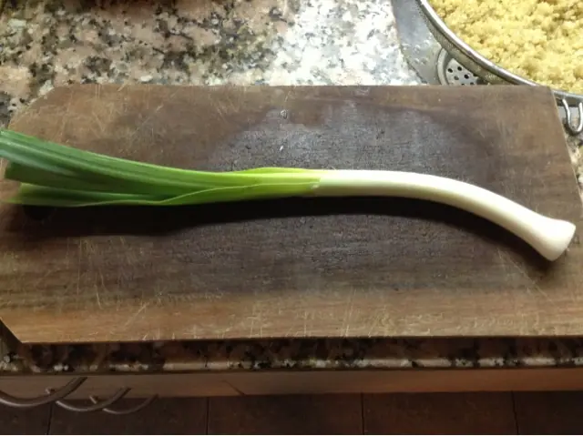 provolone