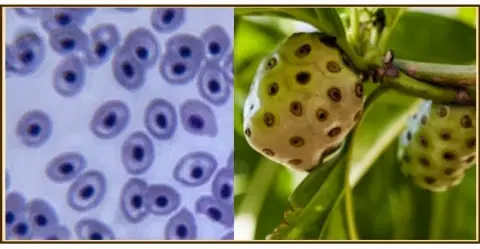 La naturaleza nos habla, sólo hay que saber escuchar.