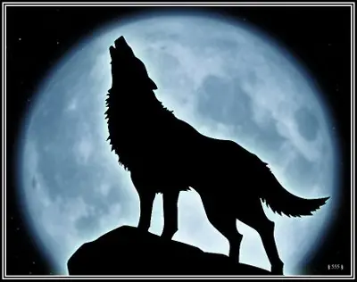 Luna llena (Quiero un amanecer)