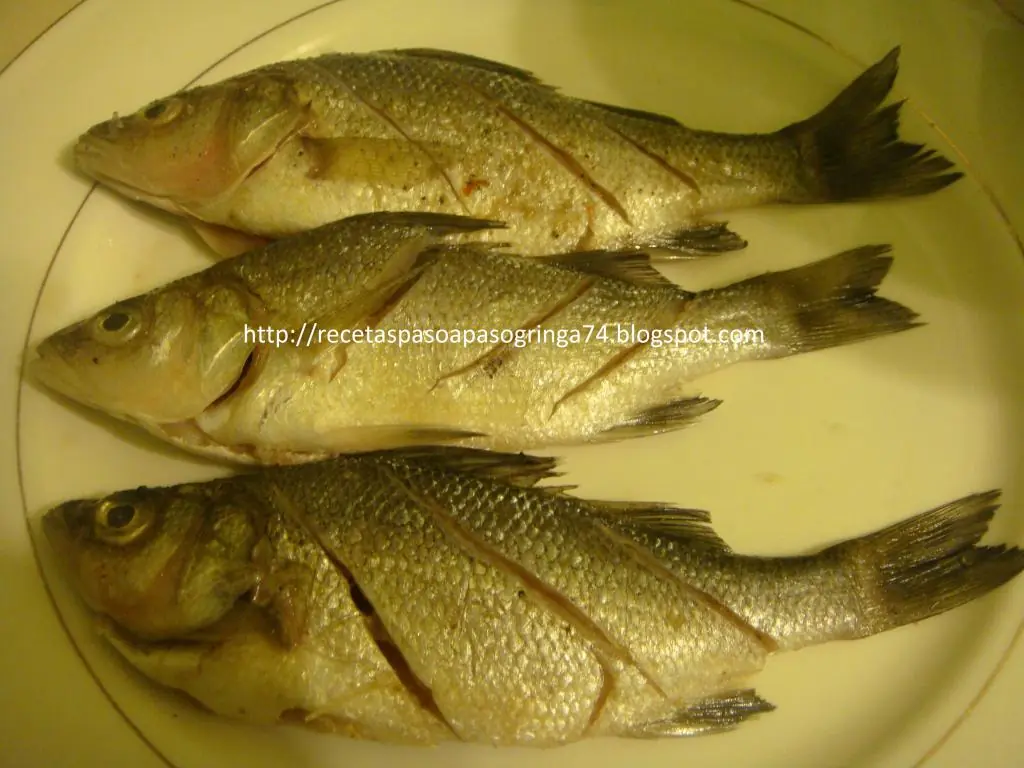 receta paso a paso