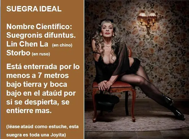 suegritas