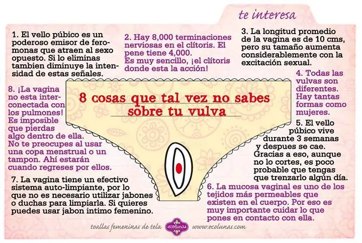 vagina