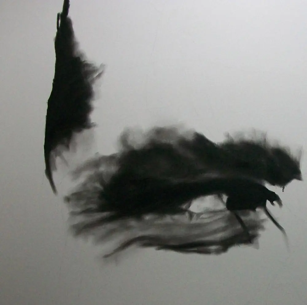 nicholson